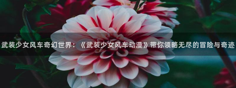 在线动画动漫下载新新漫画