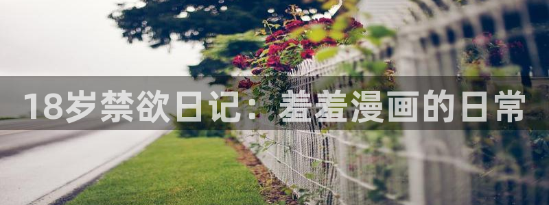 managereader漫画官网入口