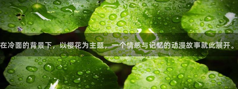 新新漫画官网网址：在冷面的背景下，以樱花为主题，一个情感与记忆的动漫故事就此展开。