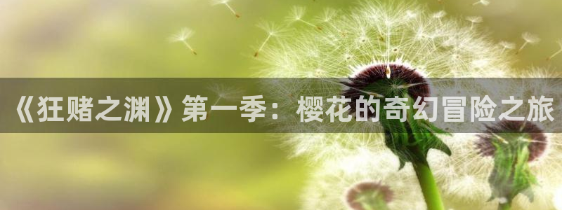 新新漫画网上看：《狂赌之渊》第一季：樱花的奇幻冒险之旅