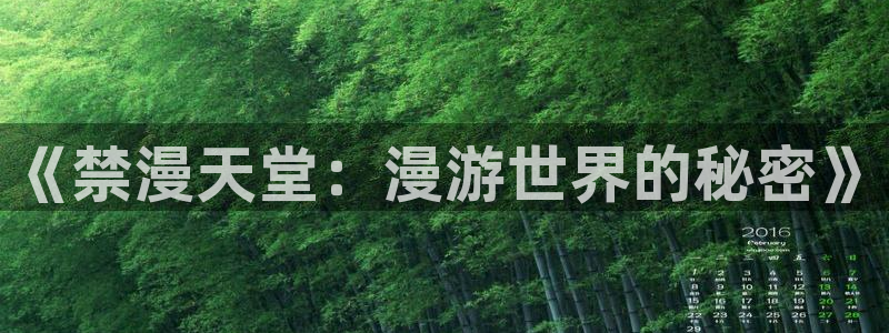 managereader漫画官网入口：《禁漫天堂：漫游世界的秘密》