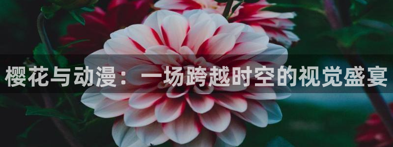 age漫画网：樱花与动漫：一场跨越时空的视觉盛宴
