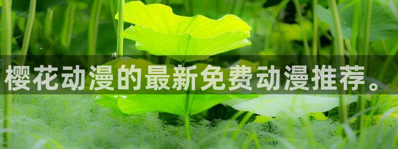 stagenehind韩漫免费观看：樱花动漫的最新免费动漫推荐。