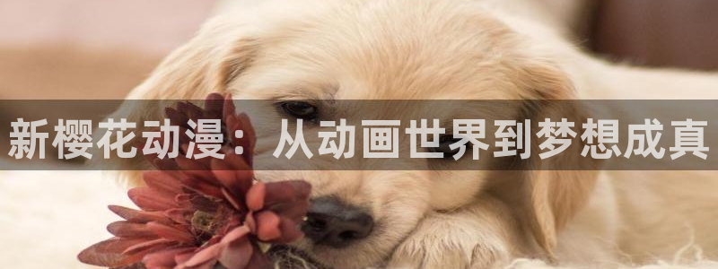 新新漫画官网在线入口：新樱花动漫：从动画世界到梦想成真